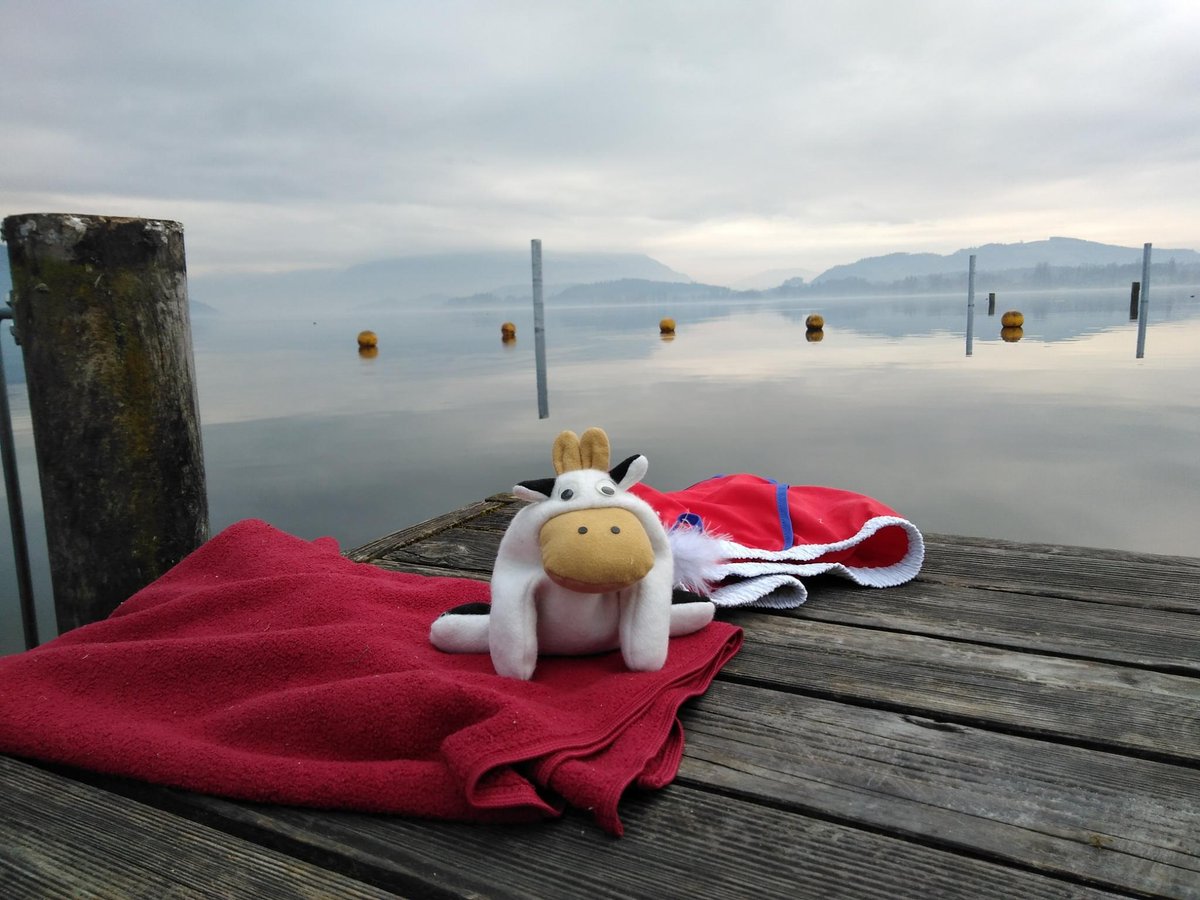 Who has the most hardcore organisers? 🤘 Our lead mentor moovie took a swim this morning in Lake Zug! That'll surely wake the spirits for a great compo day!