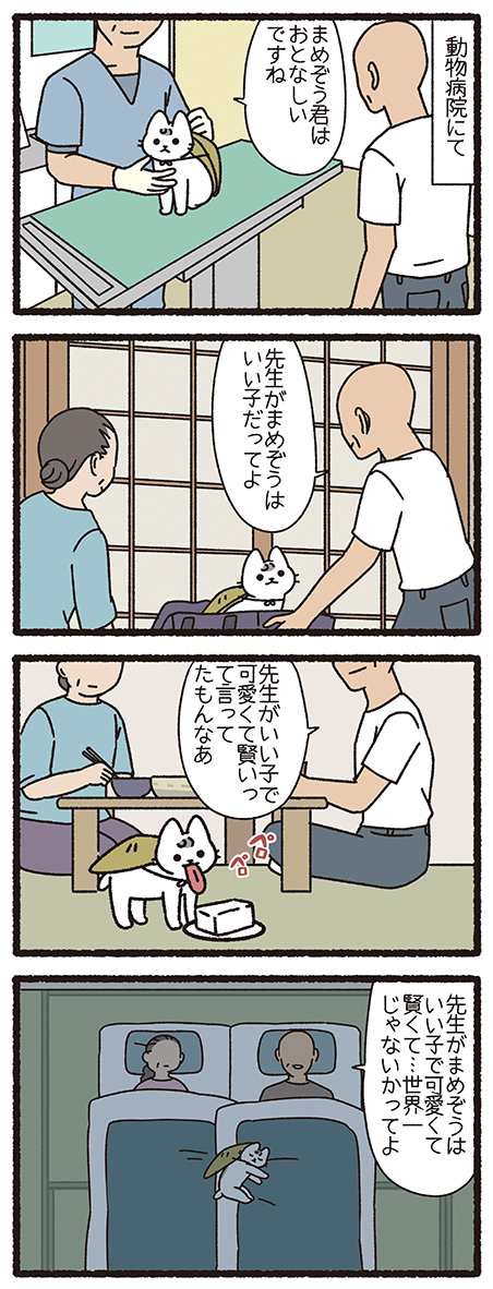 ねこようかい とうふこぞう
#ねこもんすたー #ねこようかい 