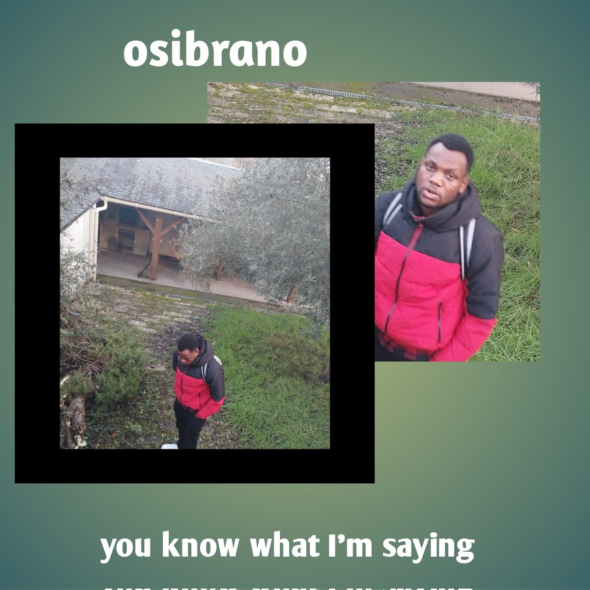 OSIBRANO tweet media