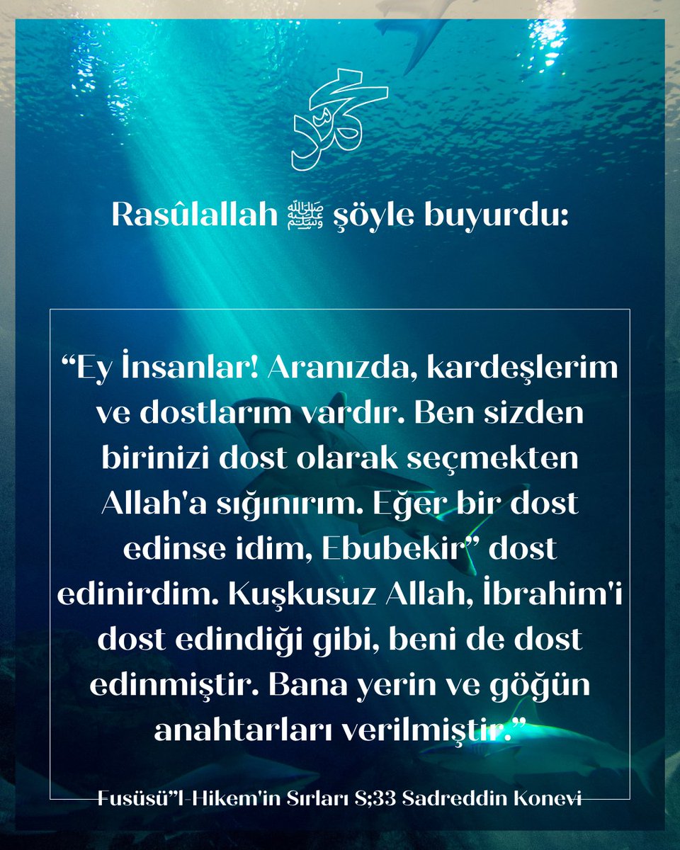 AAOmlk's tweet image. ''Eğer bir dost edinse idim Ebubekir'i dost edinirdim.. ''
#hadis #rasul #Allah #nebi