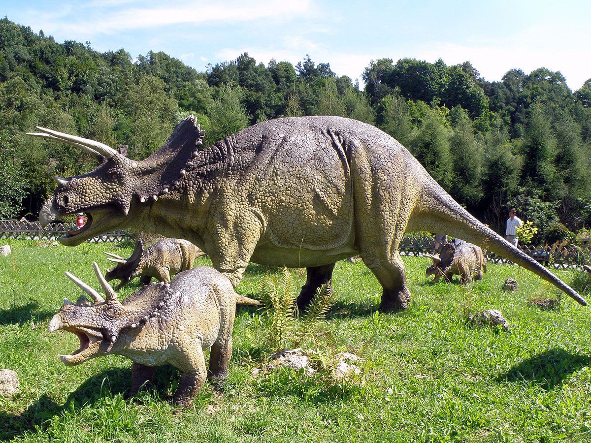 utsavsrinet's tweet photo. 10 Types Of Dinosaurs with horns: https://t.co/7ErKDxhLvJ
#dinosaurs #dinosaurswithhorns https://t.co/mXwtCacOAO