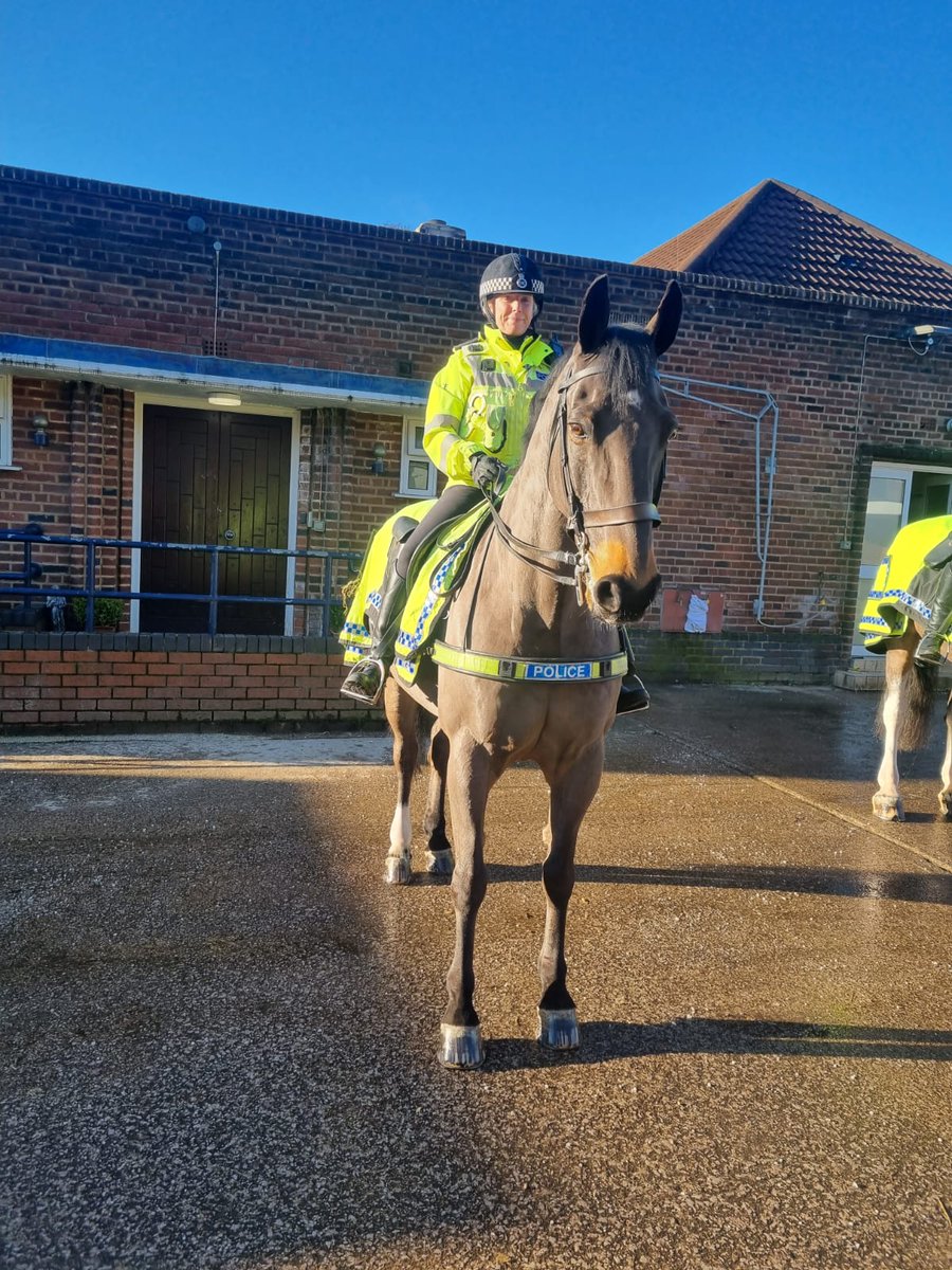 MerPolMounted's tweet image. As a department we would like to say a massive thank you to all our lovely followers for all your messages about our amazing Jake!
It’s been a tough few days but your messages have made us shed a few tears but made us smile.
#StandTall #PHJake