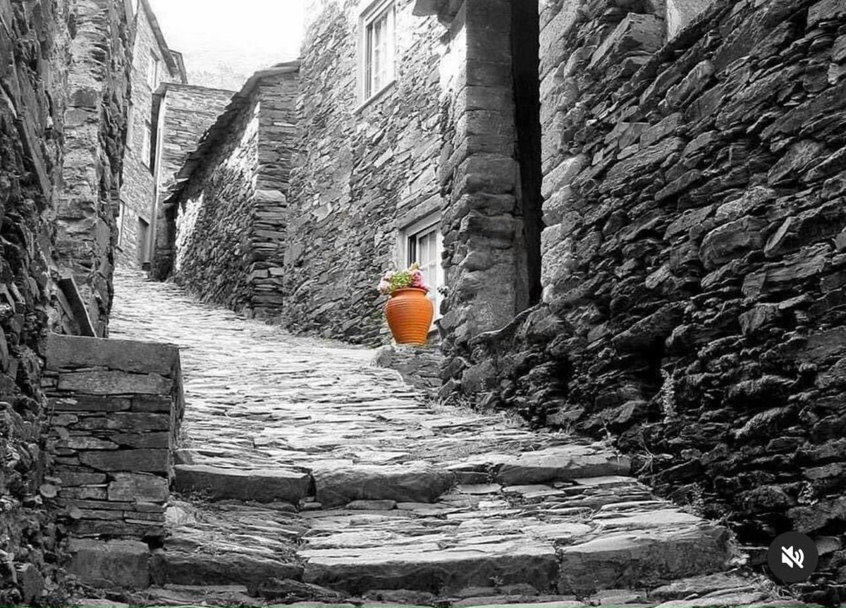 “bu şehir laubaliliğin, kötülüğün, ikiyüzlülüğün kaynaştığı bir şehir. iyi insanları yok mu?  Dolu ,ama nasıl çekilmişler, nasıl ürkmüşler, nasıl kapanmışlar bir yere?  Neredeler ?”

Sait Faik Abasıyanık