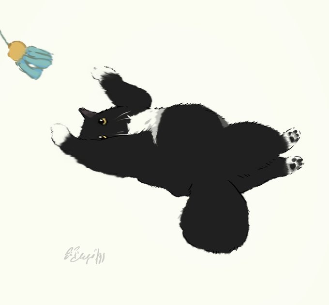 「黒猫 サイン」のTwitter画像/イラスト(新着)｜3ページ目