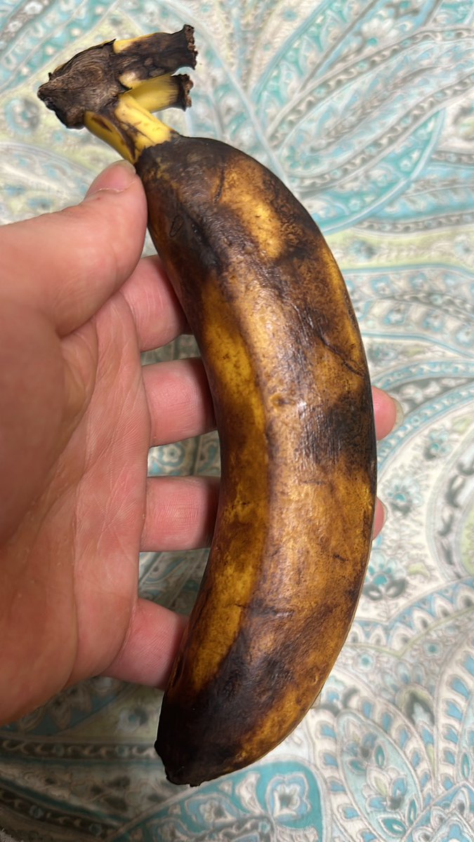 今日もまた1つ強くなった
バナナは美味しくいただきました😋