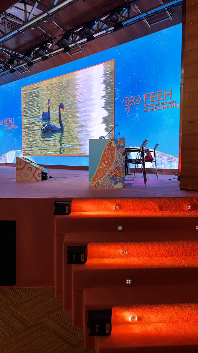 We couldn’t ask more to <a href="/AEEHLiver/">Asociación Española para el Estudio del Hígado</a> this year, great connections, networking and science! Thank you for your support and endorsement, see you next year! <a href="/idibaps/">IDIBAPS</a> <a href="/paulacantallops/">Paula Cantallops Vilà</a> <a href="/SererolsLaura/">Laura Sererols Viñas</a>