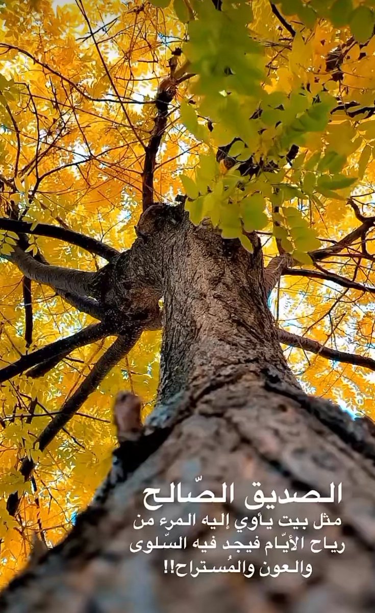 غلا ..🇦🇪 (@although_uae) on Twitter photo اسعد الله مساءكم ....🎵 اسعد الله مساءكم ....🎵