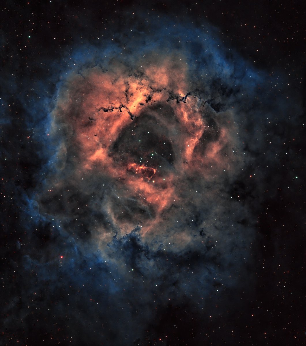 Rosette, aka Skull Nebula, processed in OSH colour palette. 
====
ZWO183MCPro, RedCat51, l-extreme filter, ZWO120MM for guiding, ZWO AutoFocuser, ASIairPlus, SA GTi

#astrophotography #skywatcher #deepsky #zwo #iamskywatcher #photooftheday #astrophotography #picoftheday