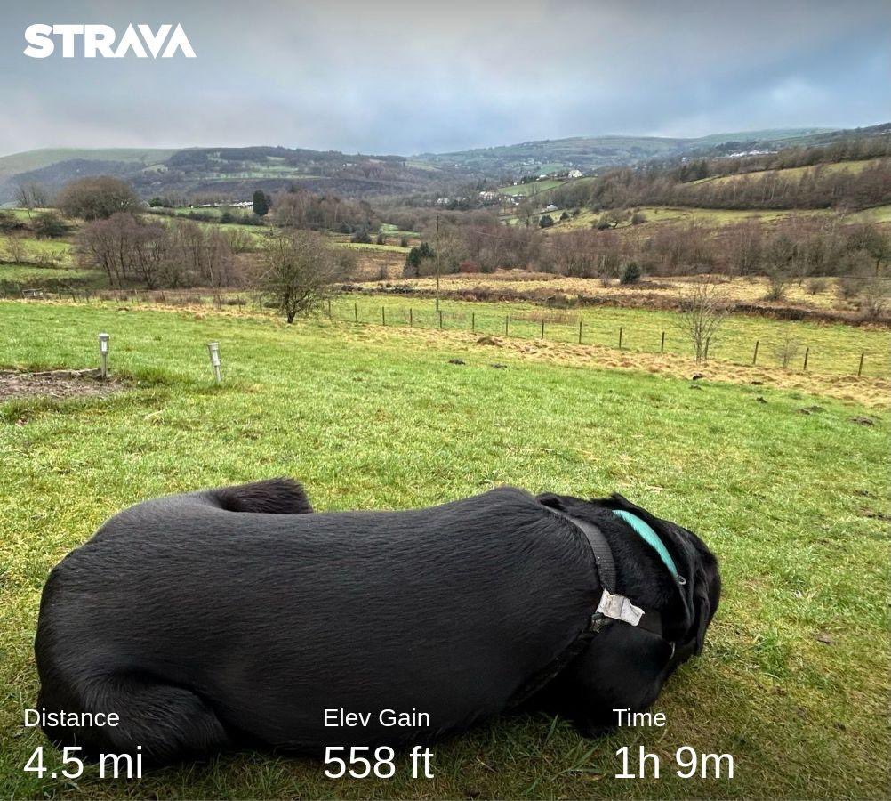 andyb066's tweet photo. Rest day today @runningpunks for me &amp; also an injured Beastie Boy. Here’s a couple from a reflective walk yesterday afternoon with Eric. We set off with the boy but he started limping &amp; had to take him back home 😫 #runningpunks #runningpunk #walkingpunks #muddymilesformegs https://t.co/XKlQZDNkSr