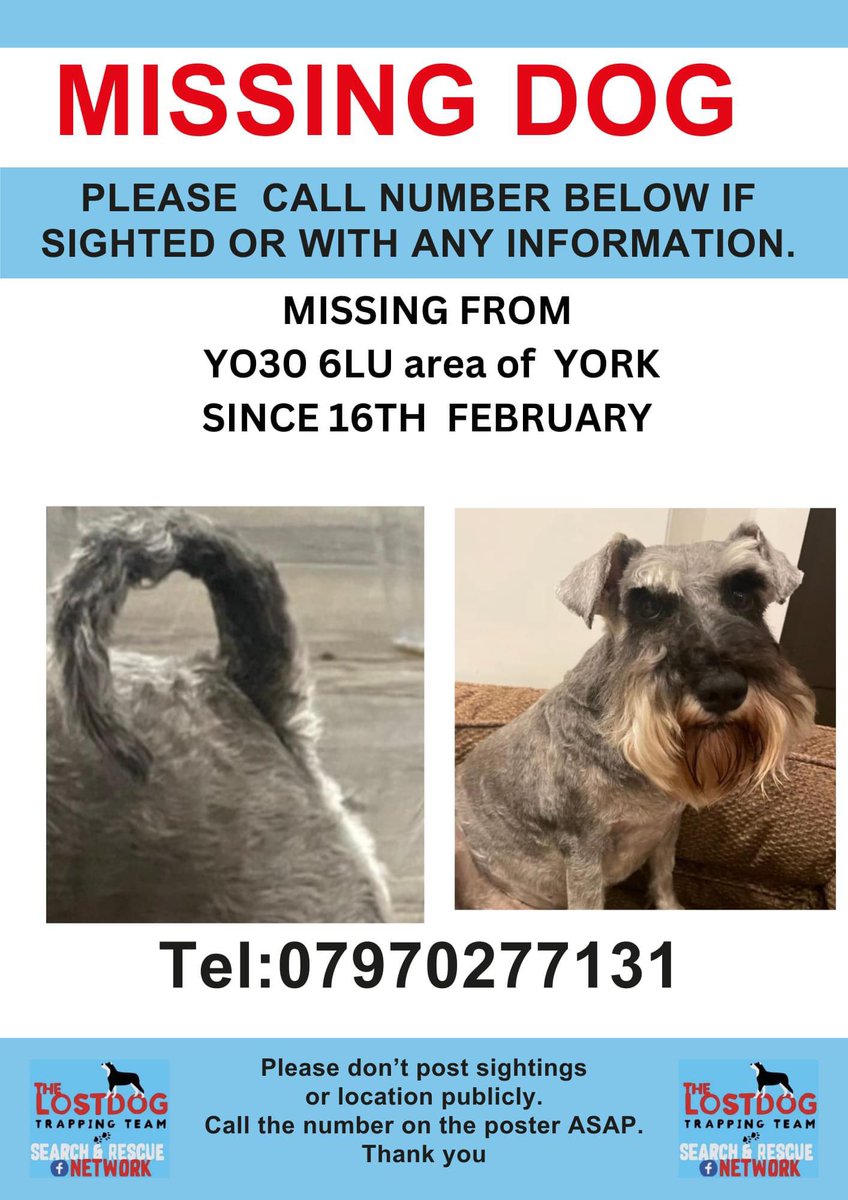 rosiedoc666's tweet photo. Missing since appr 9pm 16/2/24 #YO30 #CLIFTON #York escaped garden. Chipped/Spayed. She could have been picked up overnight but no calls to owner yet. pls check ring doorbells/cctv see if she passed. Owner very worried. has curl on tail which is distinctive as shown on poster https://t.co/2oqrgGUuuF