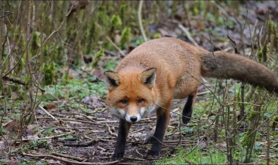 ATWAG Coventry tweet media