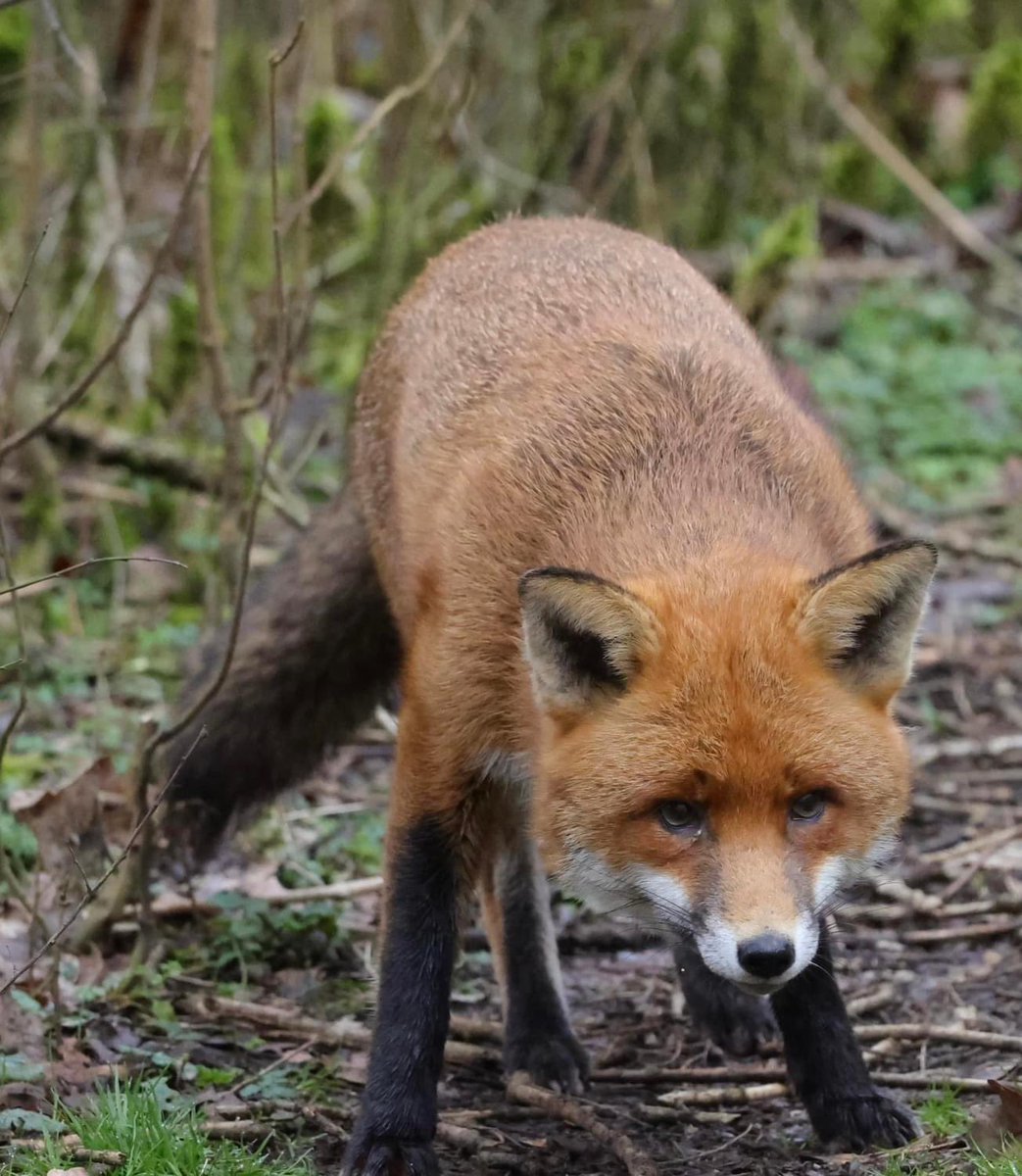 ATWAG Coventry tweet media