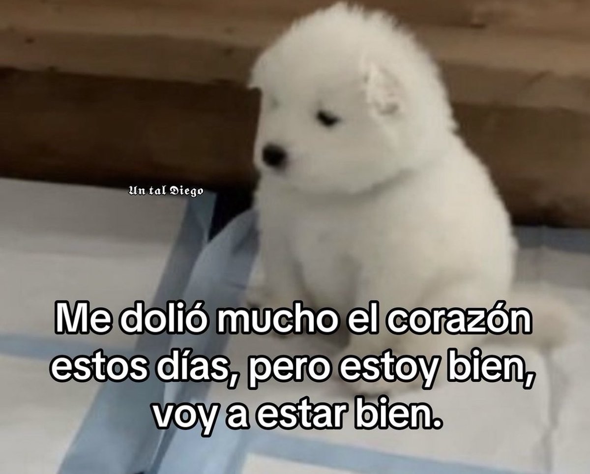 piña sin pizza (@skereunpesado) on Twitter photo 