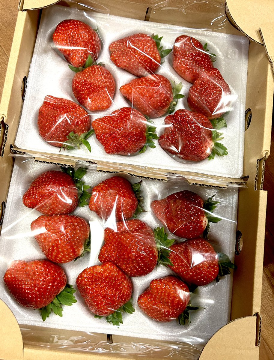 MASHIKAthe2nd's tweet photo. 苺家さん!今年も超絶おいしい!
いつもありがとうございます😊🍓❤️🍓❤️
皆さん旬を逃すな!
#158 #苺家 #つくば #strawberry #illustration #cheeboi #いちご狩りはやっていません https://t.co/pxeQciqafE