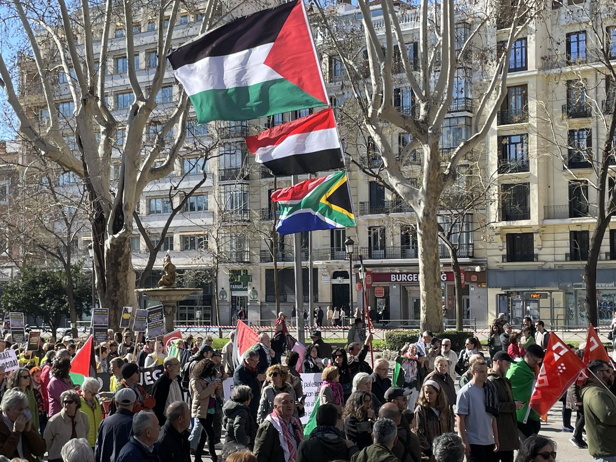 Javier Lixus 🇵🇸 tweet media