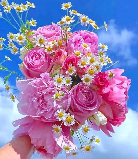 For my sweet x friends 

#Caturday 
#INDvENG