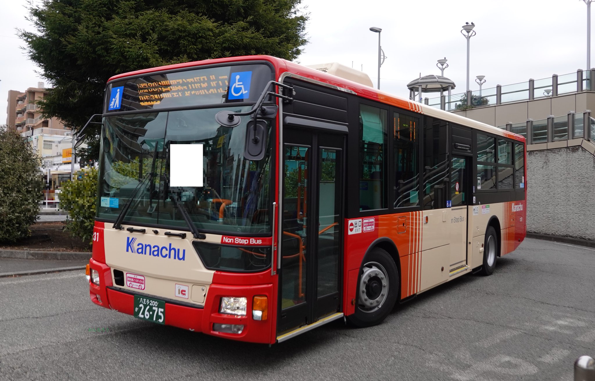 にゃん5-RO様パス3枚 にゃん5-RO様パス3枚 目白押し