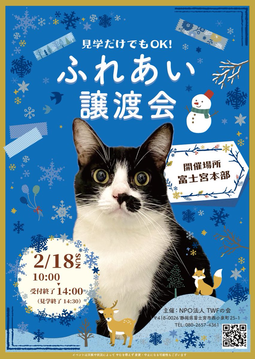 twfnokai's tweet photo. 2024.2.18譲渡会開催します！
みなさまのお越しをお待ちしております！
きてみてさわって！ https://t.co/b8aHthKQSf