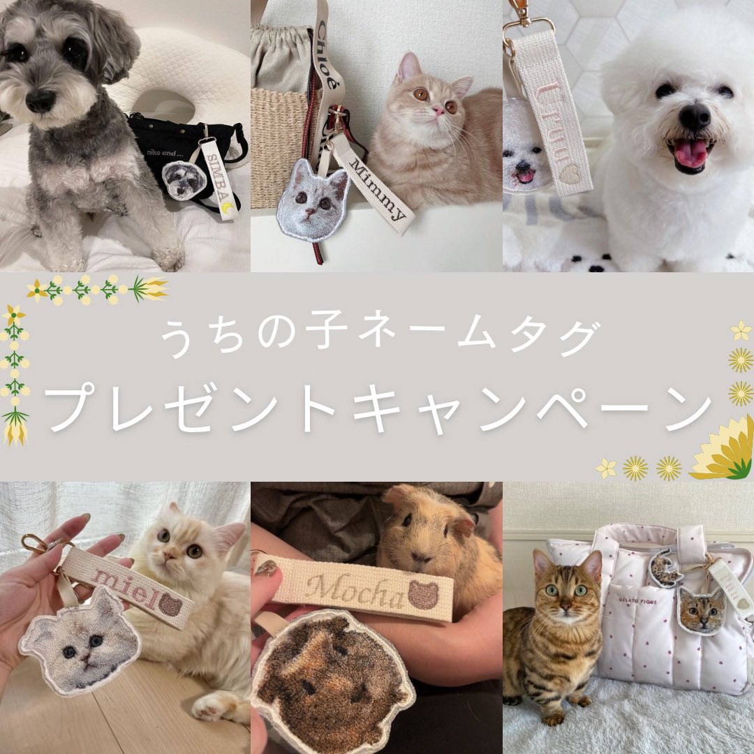 muku_official_x's tweet photo. #プレゼントキャンペーン

🐶🐱🐹🕊️どんな御家族でも大歓迎です♡

応募方法🤲🏻´-
・@muku_official_x  をフォロー
・この投稿をRT＆いいね👍🏻

募集期間🕯𓈒 𓏸
2月29日まで

当選者にはDMでご連絡させて頂きます🧸
 #うちの子グッズ #ペット #刺繍 #うちの子 #犬 #猫 #オリジナルグッズ #プレゼント https://t.co/gGaE9hlBj7