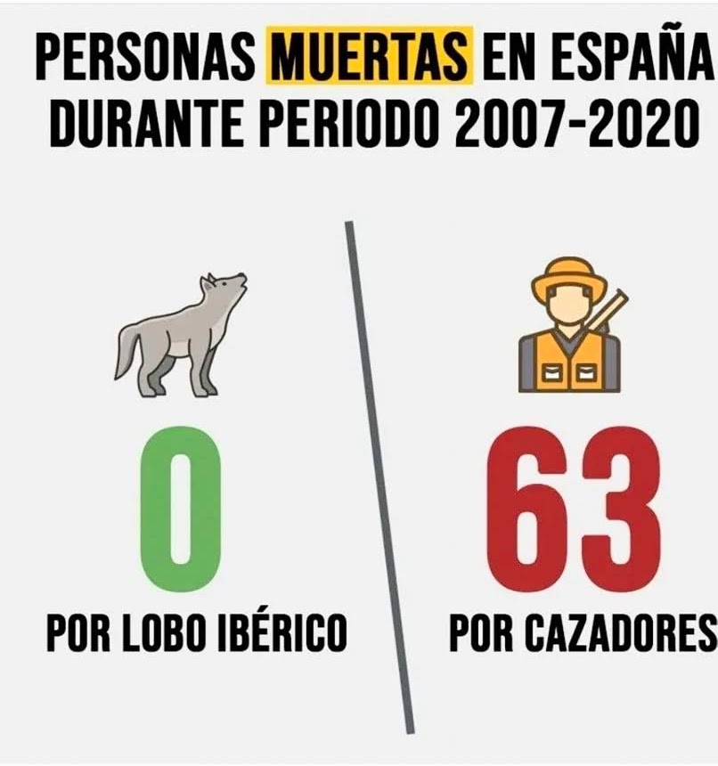 PalomaresTxema's tweet image. Quién sobra? ?