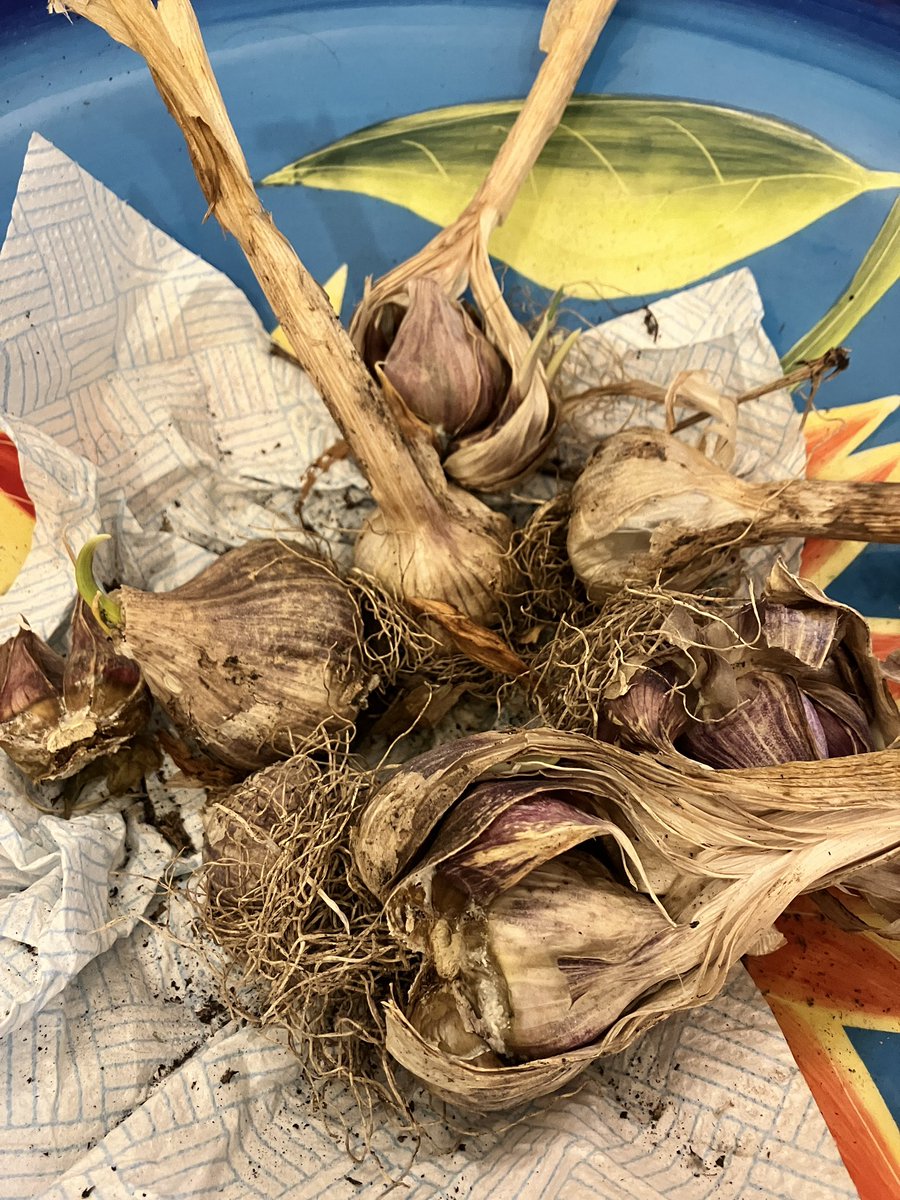 Oonagh Duggan tweet media