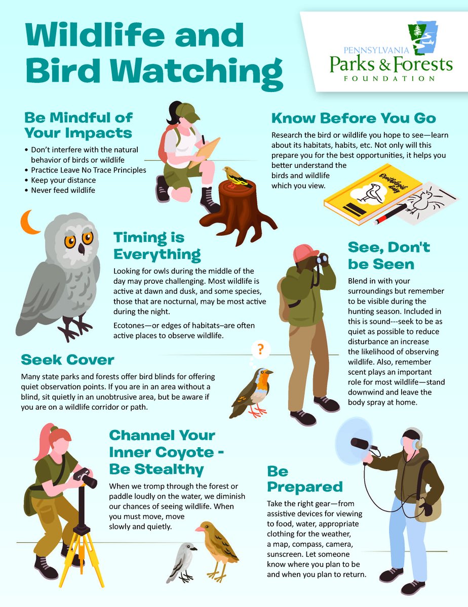 PaPFF's tweet photo. Whether you are going #birding for the Great Backyard Brid Count or as a long term hobby, being prepared can help make your adventure more fruitful. Check out our newest infograph on Wildlife and Birding to help you get started on your next excursion!
#BirdWarching #Nature https://t.co/DoGKHqkuri