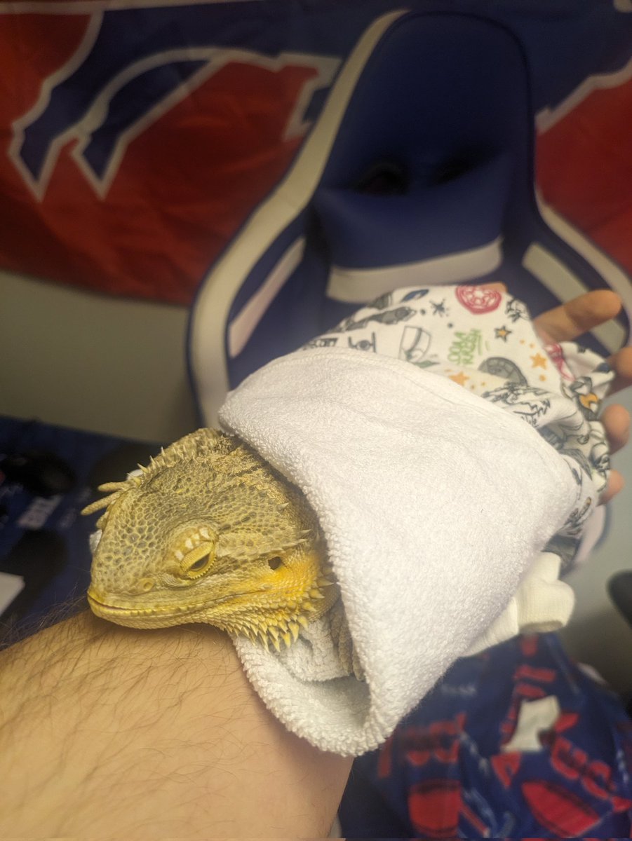 IestynTHarris's tweet photo. It's another beautiful Saxophone Solo Saturday, y'all!
He had a bath. #SaxSaturday https://t.co/aNiiIuMb9z