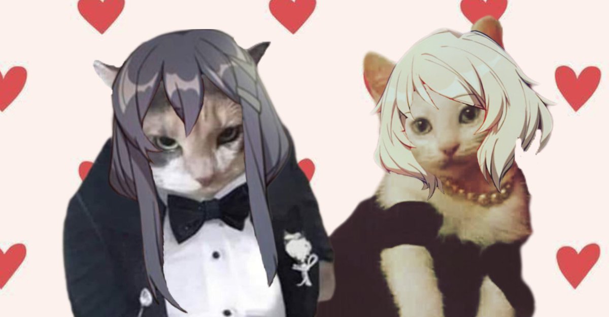 MissSnowyOwl's tweet image. To get into my account, you should first pass my two evil kitties Lixue and Patricia