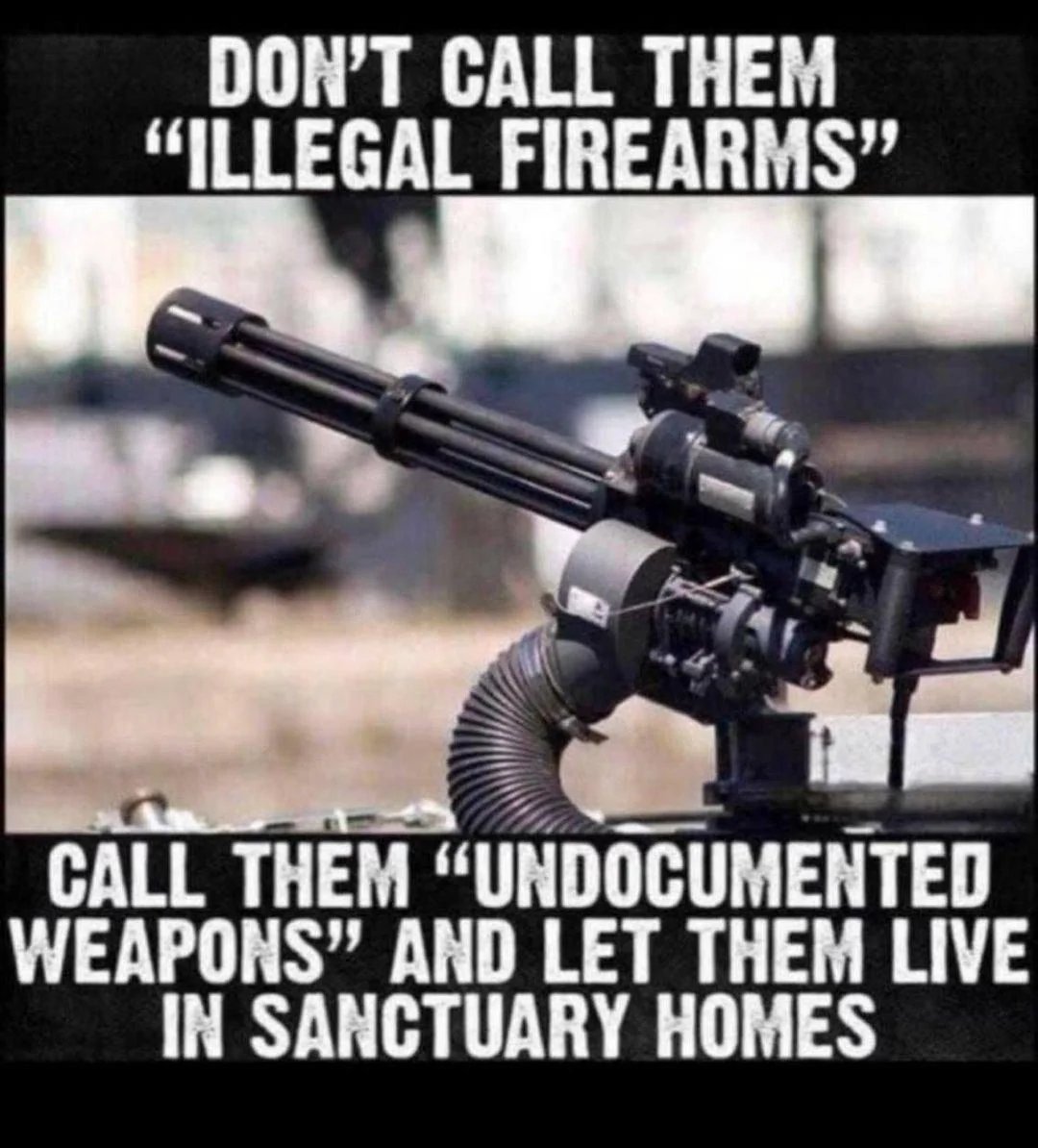 #2A #Undocumented #Sanctuary #AllGunsMatter #AmericanDream #AbolishTheATF #DefendOurBorders