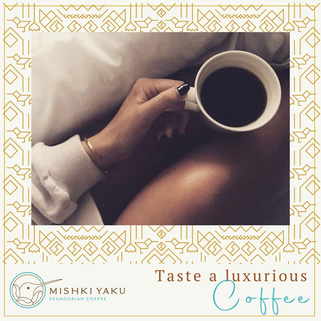 Taste a luxurious coffee cultivated and roasted in Ecuador, the middle of the world, a coffee that awakens your mind and stimulates your senses.
Each cup is a journey of taste and sophistication. 

#SpecialtyCoffee #SustainableCoffee