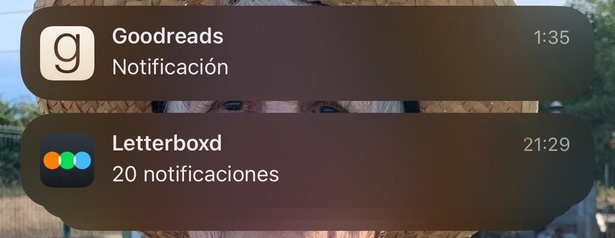 horteraza's tweet photo. supongo que así es como lucen las notificaciones de alguien cool y con muchos amigos https://t.co/pANYdhDona