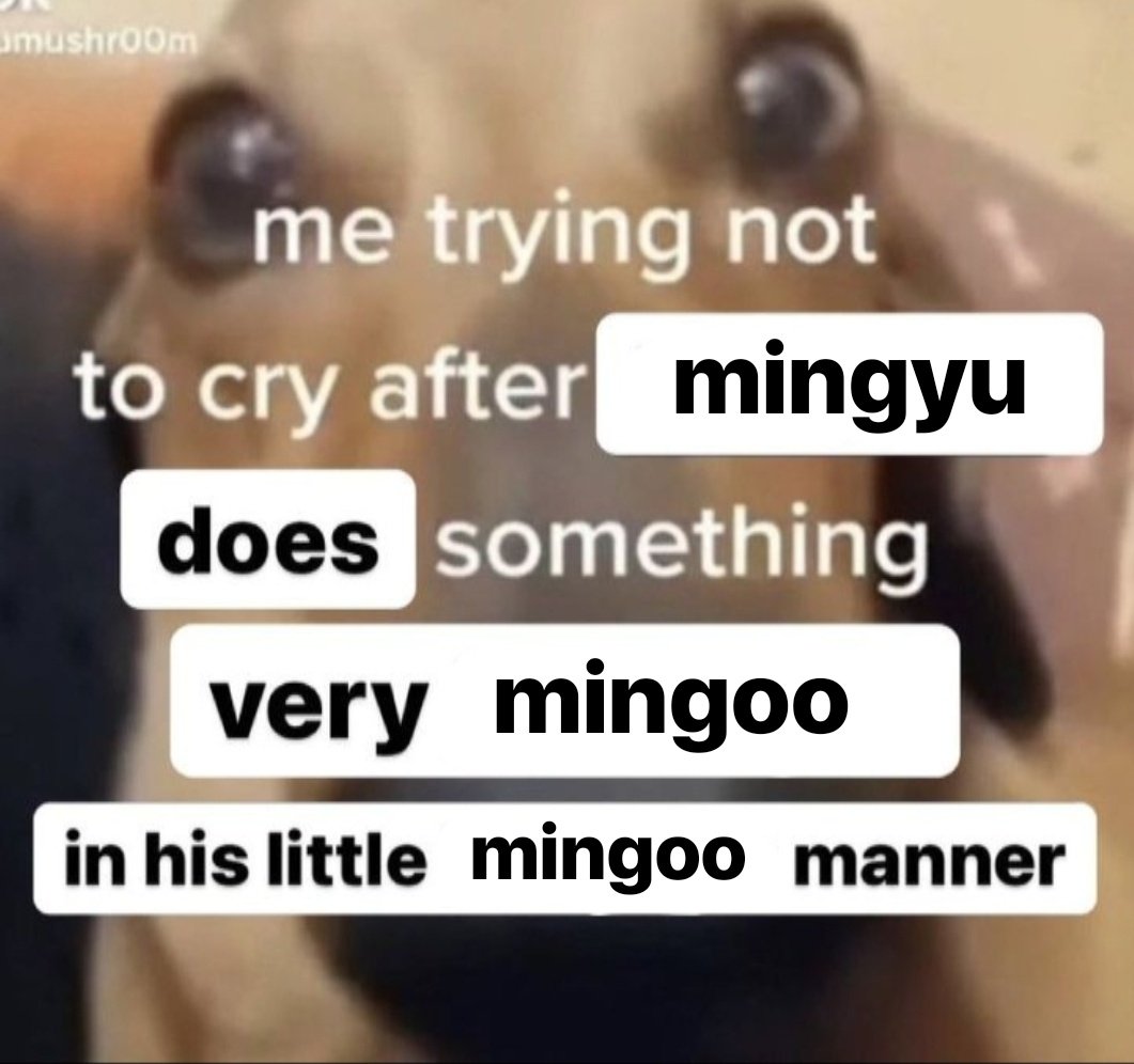 mingyuleftboob's tweet photo. mingyu mingooing ㅡ a thread https://t.co/I6IJcD1C5A