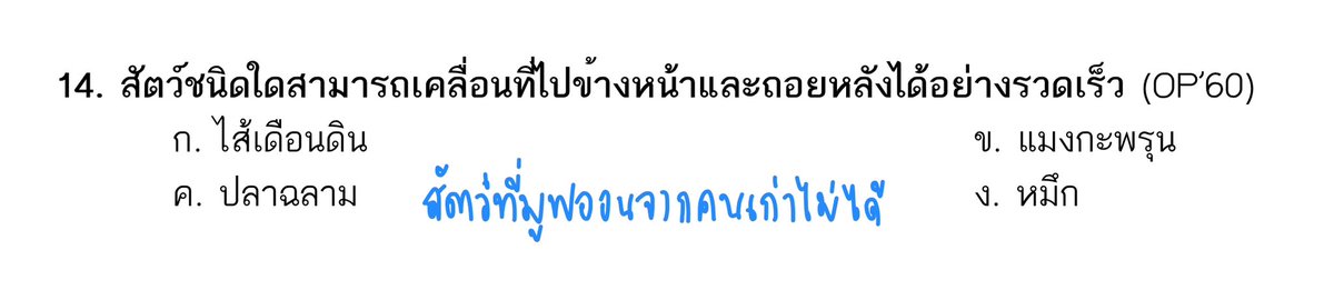 lee tweet media