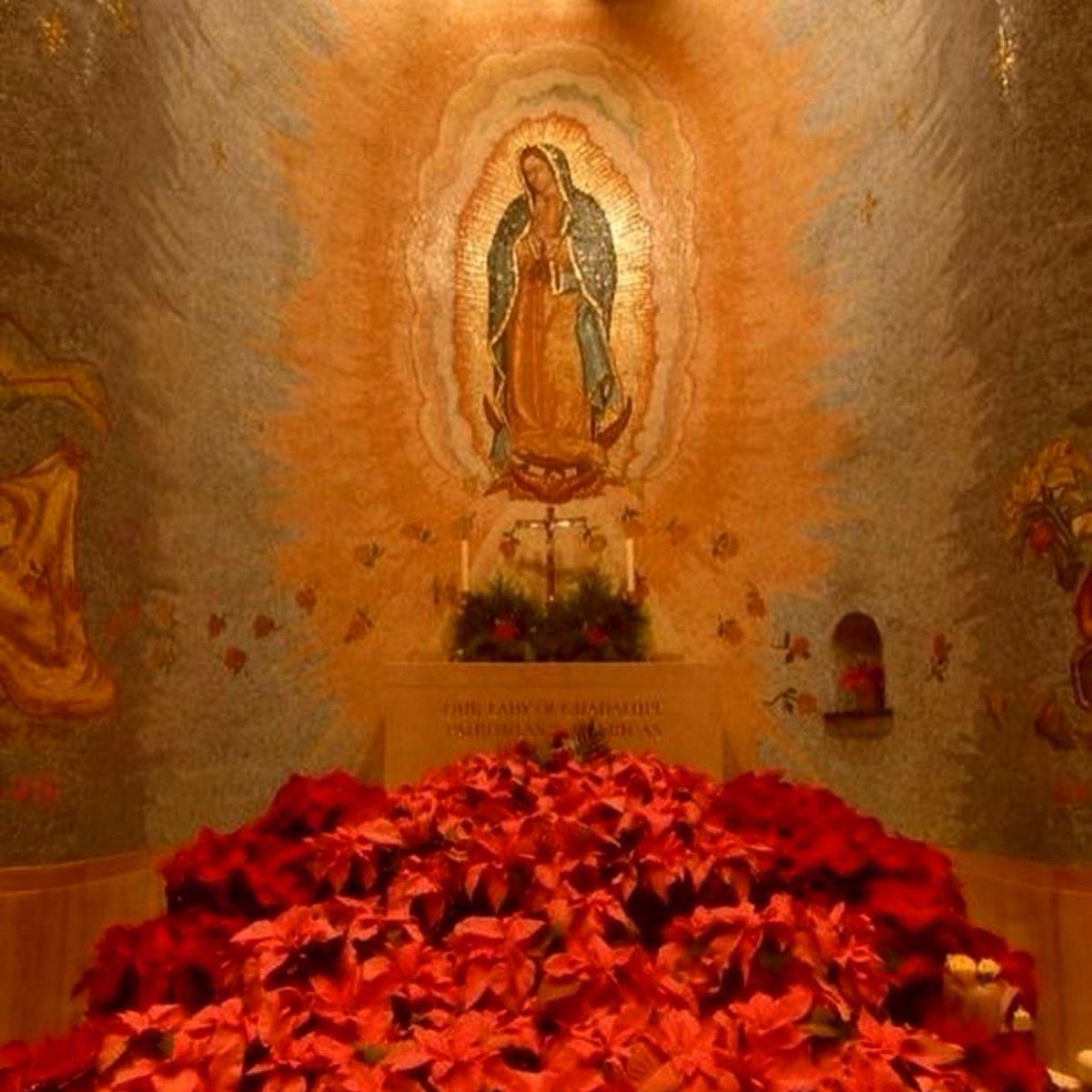 Sábado, de la mano de María. #VirgenDeGuadalupe #VirginMary #VirgenMaría