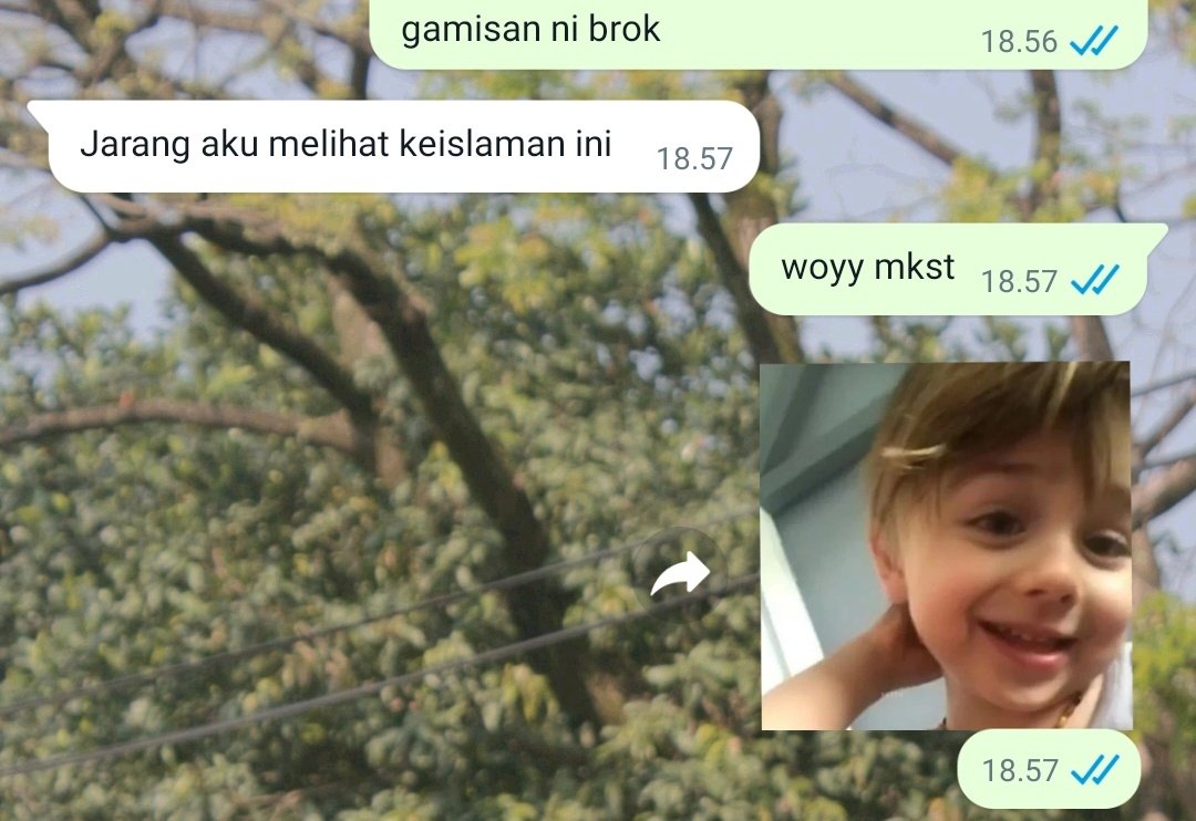 kisyourfav's tweet photo. bejir kata gua teh https://t.co/8HdKVnJlBr