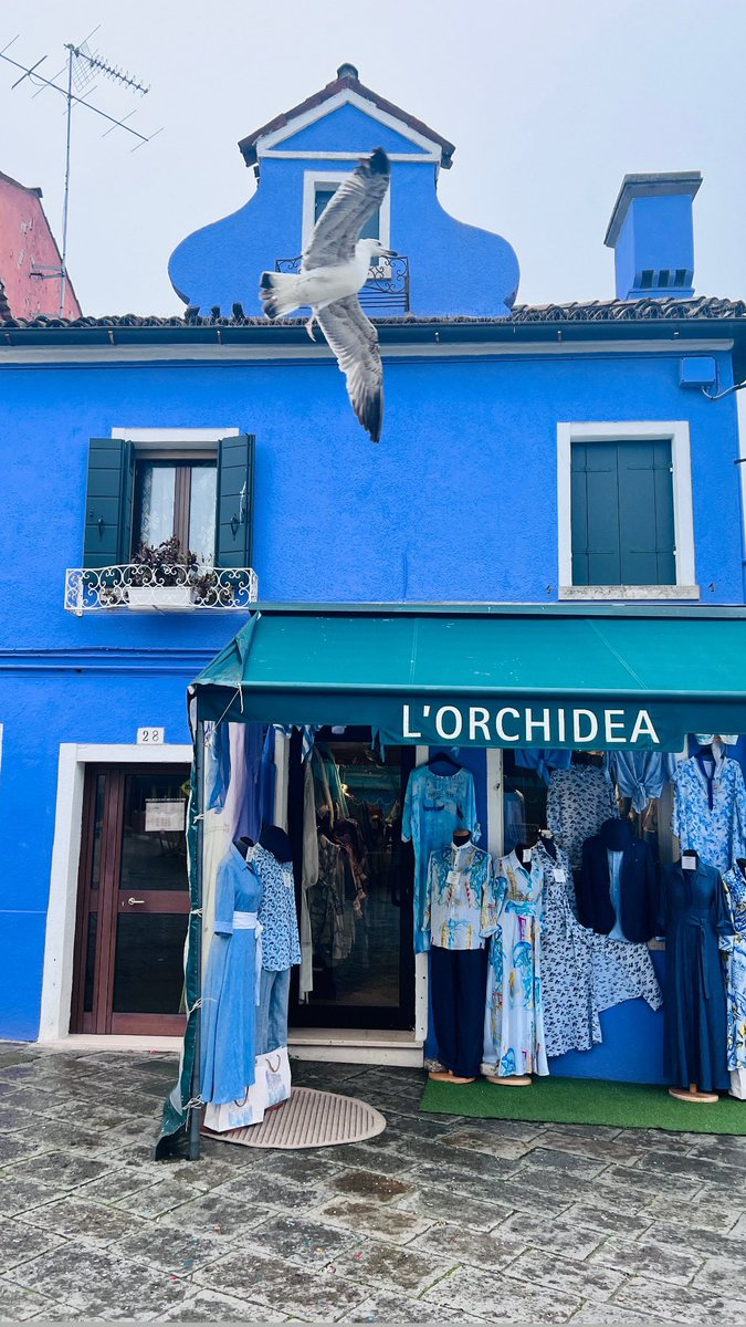 mrhsvpa's tweet photo. The Colors of Burano 🎨 https://t.co/5YlClFJOiq