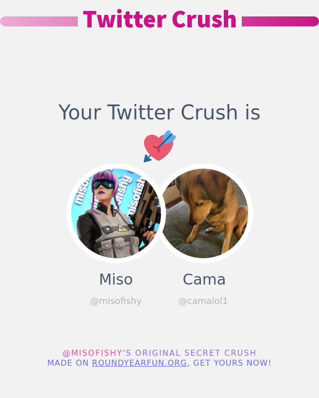 Miso tweet media