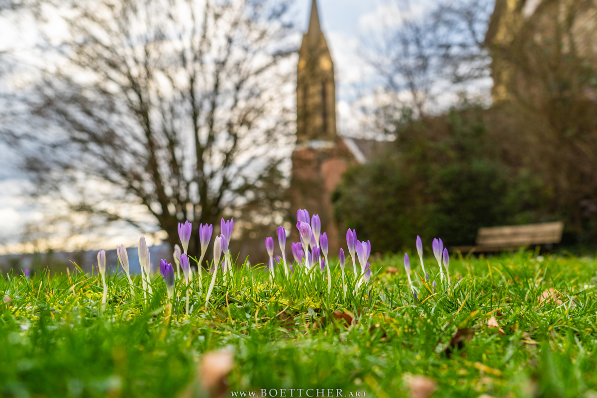 saschaboettcher's tweet photo. First signs of #Spring in #Dilsberg😊
#Photography #Kurpfalz #BadenWürttemberg #February #Februar #Germany #Deutschland #visitgermany #church #Kirche #Neckargemuend #Frühling #flowers #Blumen #nature #Natur #Krokusse #NaturePhotography #Naturfotografie #firstsignsofspring #macro https://t.co/xpZT06ILDm