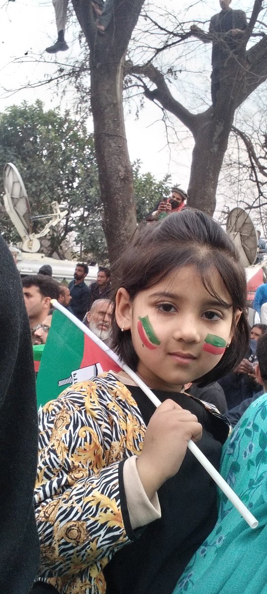 AaishaAman's tweet photo. @PTIofficial We were there✌️ https://t.co/7gHwMj6gUu