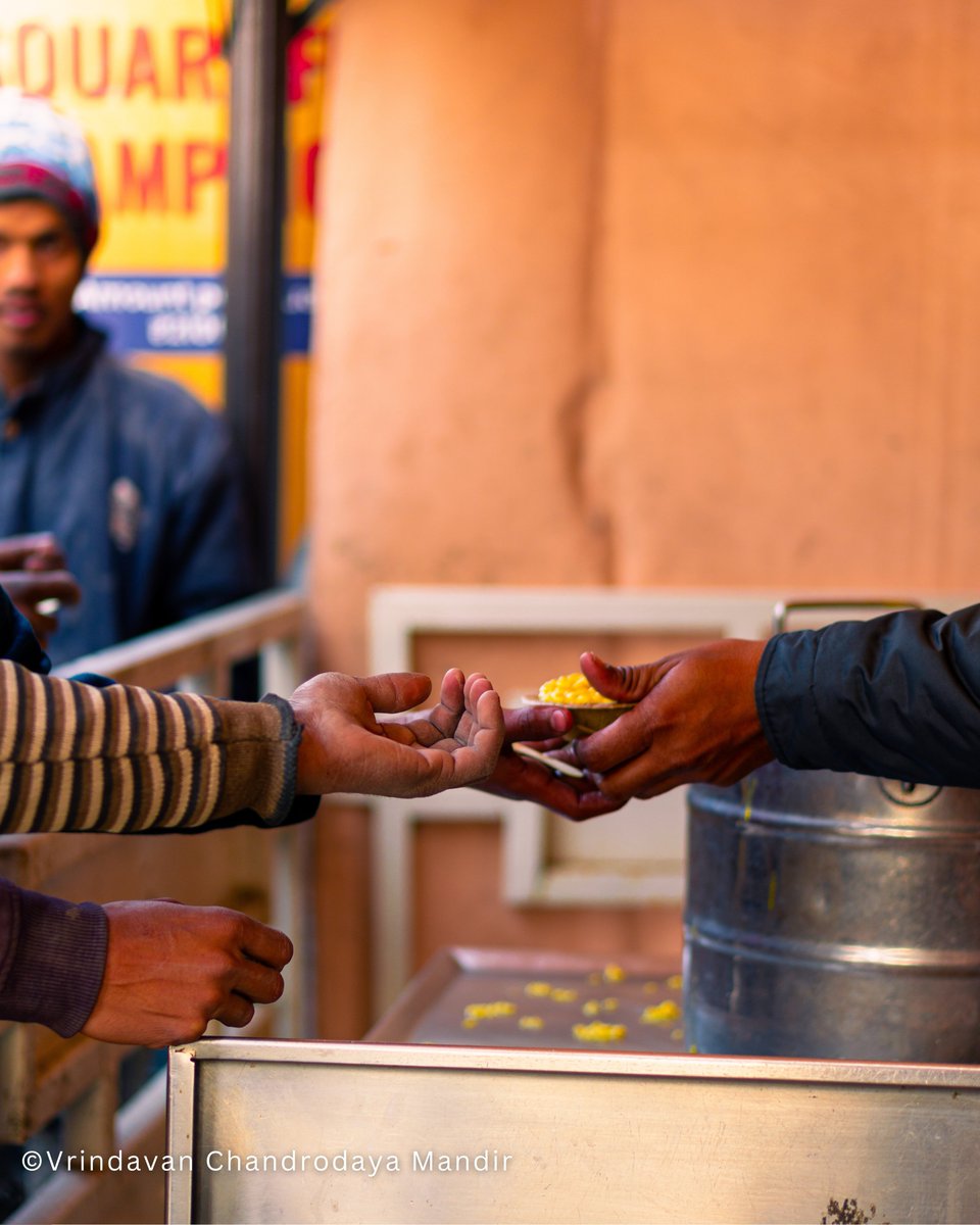 VCMVrindavan's tweet image. Khichadi Prasadam distribution at Vrindavan Chandrodaya Mandir

#tallesttemple #khichadi #iskconkhichadi #Vrindavan