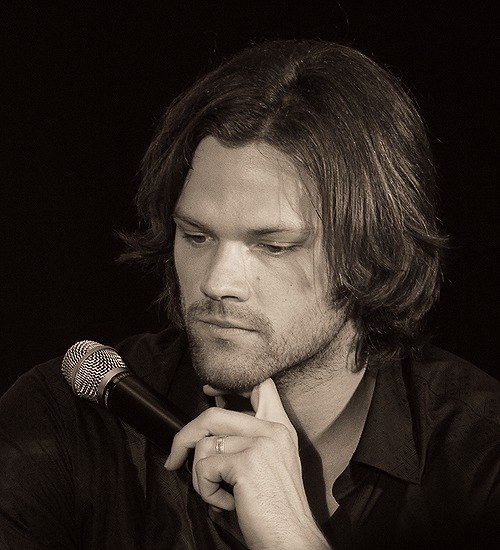 Ardan🐲𓃡 (@rudanechka) on Twitter photo 