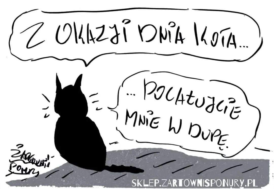 Koty to dranie:)
#DzieńKota