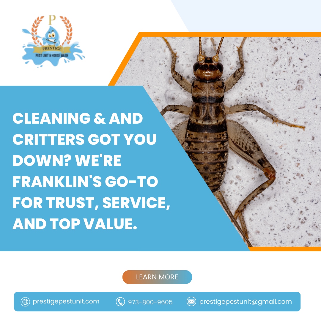 prestige_pest's tweet image. 🧹🐞 When it comes to a clean, comfortable home, we know there's no compromise.

We're Franklin's choice for top-tier pest control and cleaning services—where trust and value meet.

#TrustedClean #PrestigePestControl #HomeComfort

🌐 prestigepestunit.com
📞 973-800-9605
📧 ...