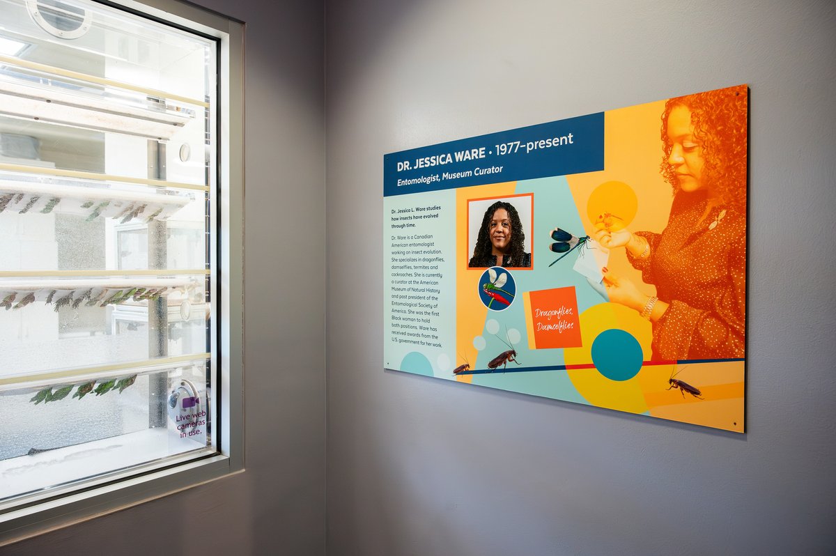 FloridaMuseum's tweet photo. Exhibit Spotlight πΏοΈ Black in Natural History Museums Scavenger Hunt
Explore #BlackinNHMs in a FREE exhibit developed in partnership with @BlackInNHMs. Walk our exhibits to discover feature panels of Black scientists & naturalists like Carl Cotton.
π https://t.co/e94z5oNfaS https://t.co/tGXilakNwK