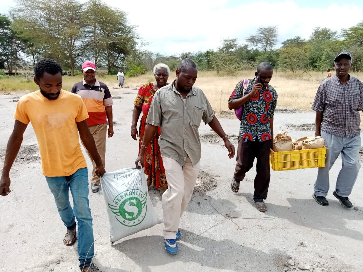 cookswelljikos's tweet photo. Work in progress, acacia seedball distribution with Friends Of KiU catchment today near Makindu Town.
#greeningkenya #directseeding https://t.co/JoGgzG1YZo