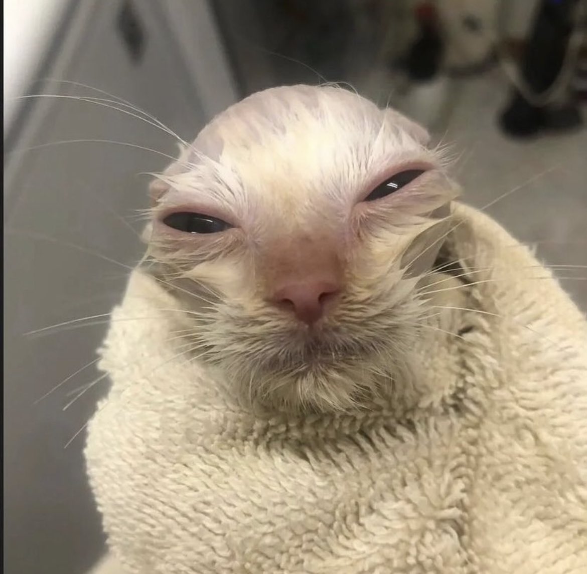 Gouuuhh   Ime   Takigme mine  showir