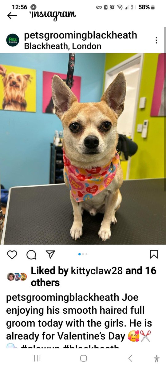 Dutch Michaels tweet media