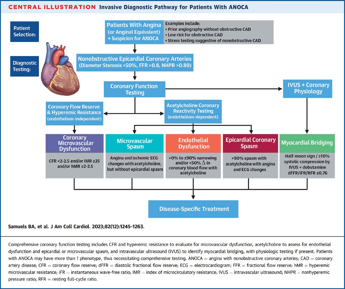 ANOCA/INOCA are familiar yet under-addressed clinical entities, and the diagnosis and management of ANOCA/INOCA have presented challenges for physicians. Learn more in #CardiologyMag: bit.ly/3P5bWQD