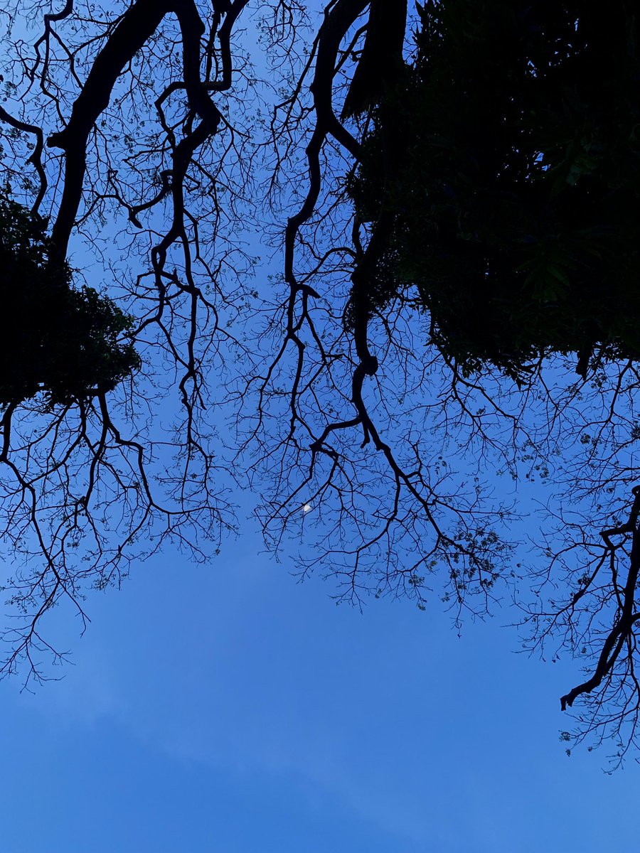 adarshpp's tweet image. Natural Drawing ✍🏻 🌕