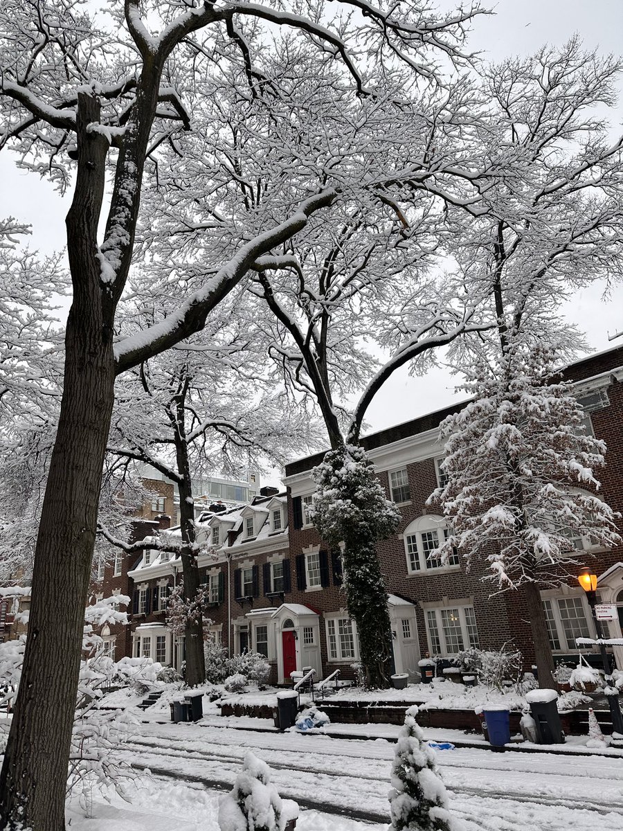 DJRTistic's tweet image. My aunt in Brooklyn just sent us a picture of her street as it’s covered in snow: